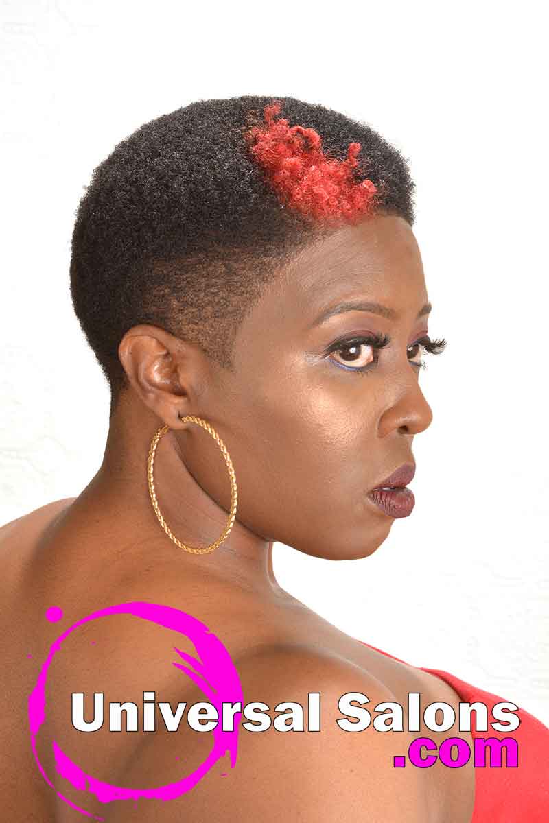 Short Natural Hairstyle with Hair Color from Bishop Da 